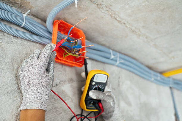 Best Electric Panel Repair  in Licking, MO